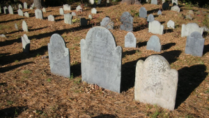obbg-7-graveyard